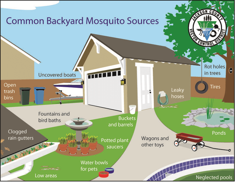 backyard mosquito control