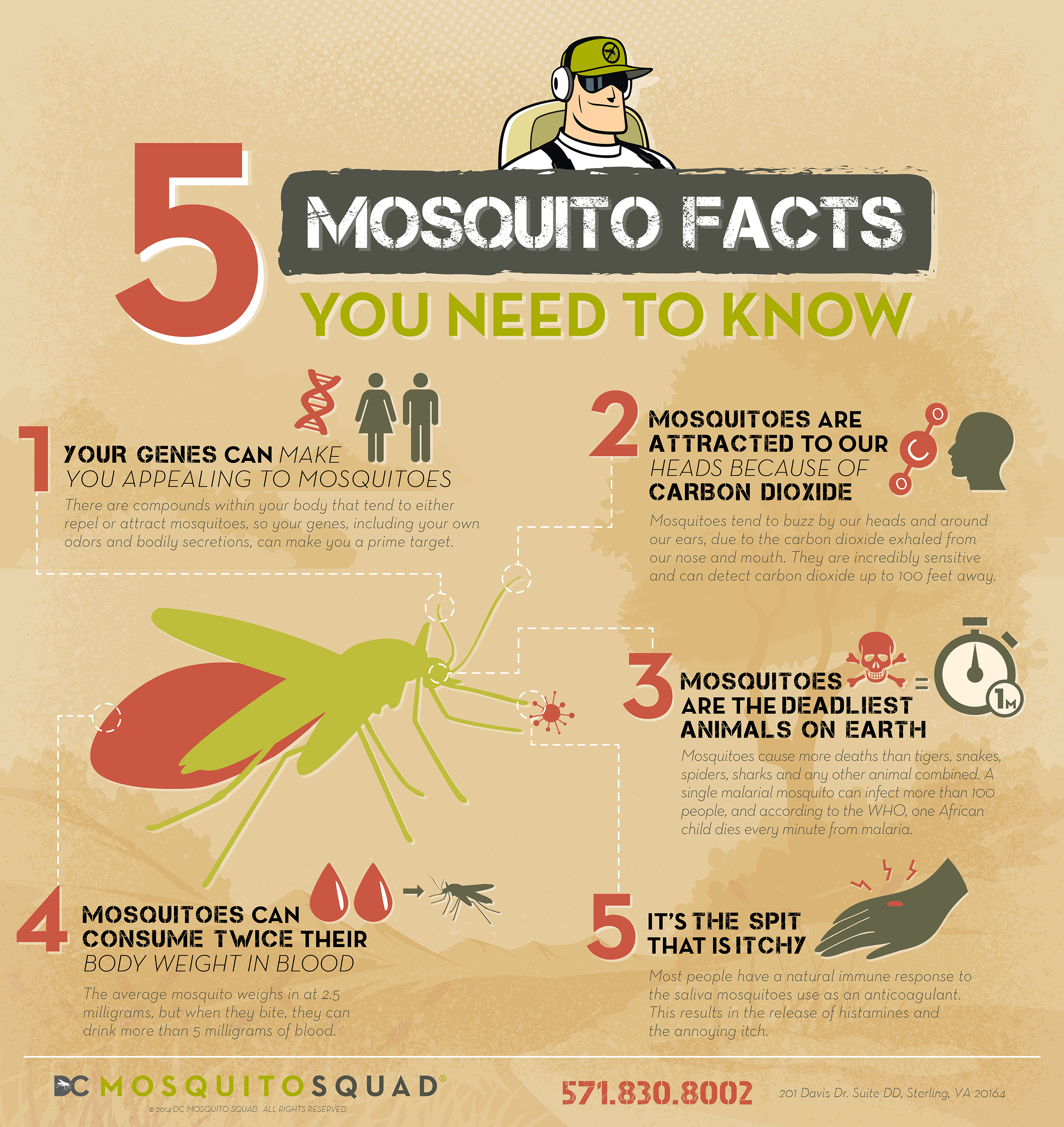 Mosquito Facts Jackson County Vector Control District