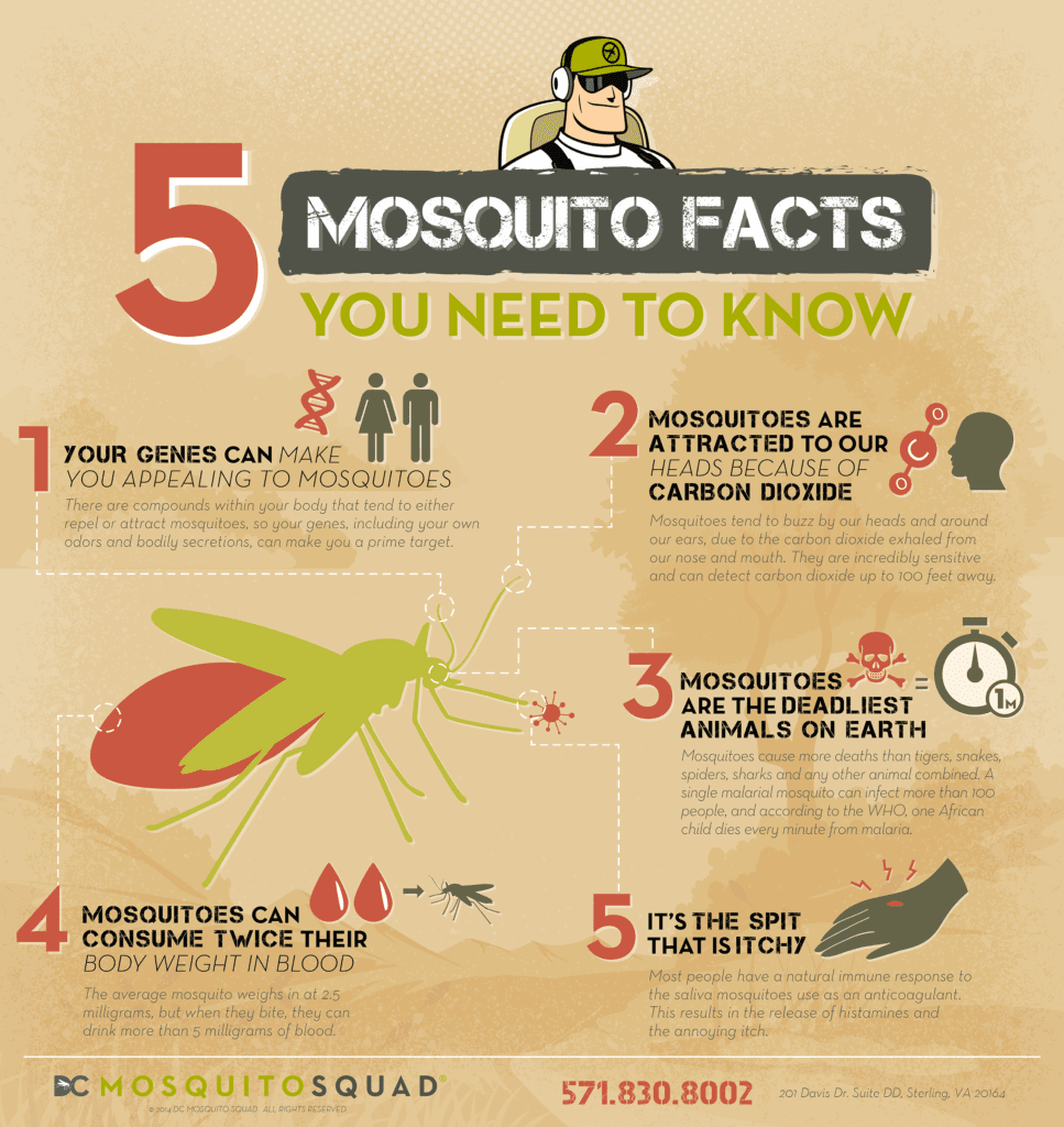 DCMS_Infographic_The-5-Facts-About-Mosquitoes-You-Need-to-Know_FA_010115
