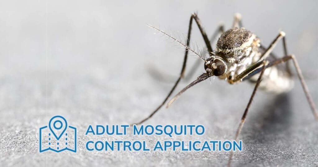 Anopheles sp. is a species of mosquito in the order Diptera, Ano