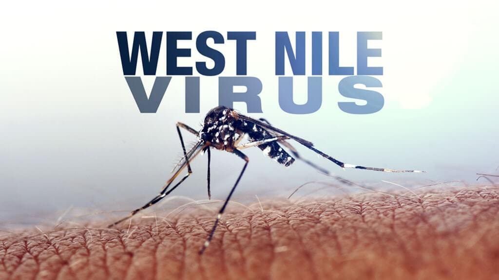 Mosquitoes Test Positive for West Nile Virus in Jackson County